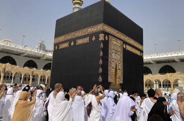الاستعلام عن مخالفة الحج بدون تصريح إلكترونياً بسهولة